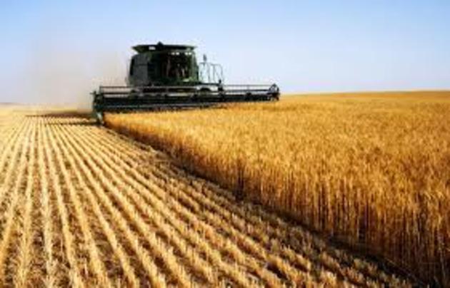 Ставропольские власти направят на поддержку сельского хозяйства более 5 млрд рублей 