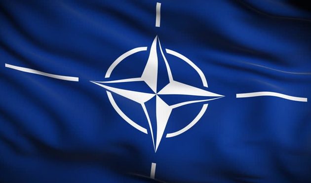 Шеремет сравнил НАТО с плесенью 
