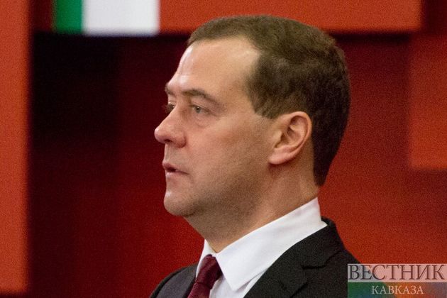 Медведев и Мамин провели переговоры в Москве