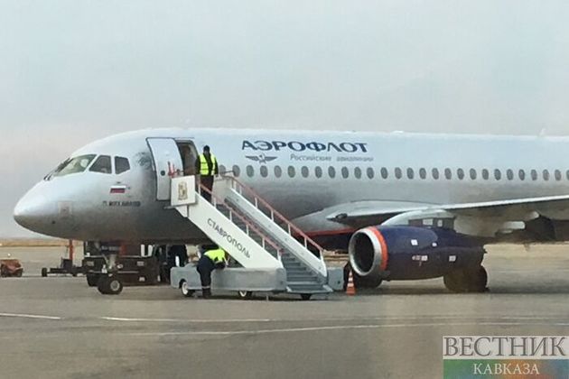 Баклан попал в шасси самолета, прилетевшего из Алматы в Москву