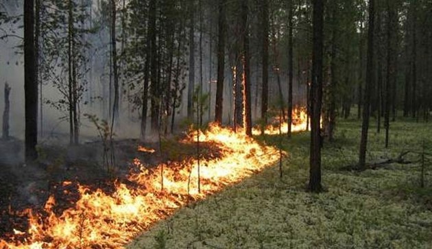На Галлипольском полуострове загорелся лес 