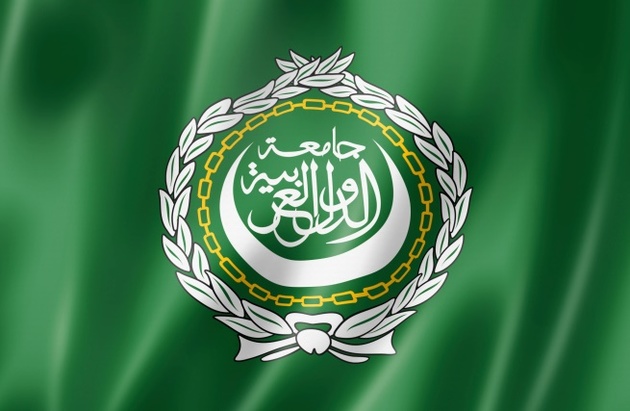 Лига арабских государств задумалась о санкциях против Турции