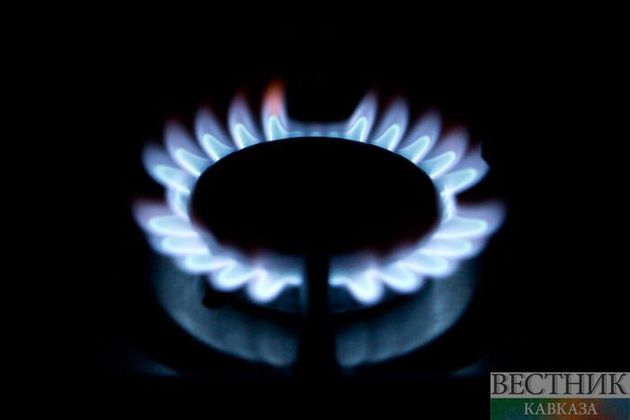 Пять человек отравились газом в частном доме в Назрани