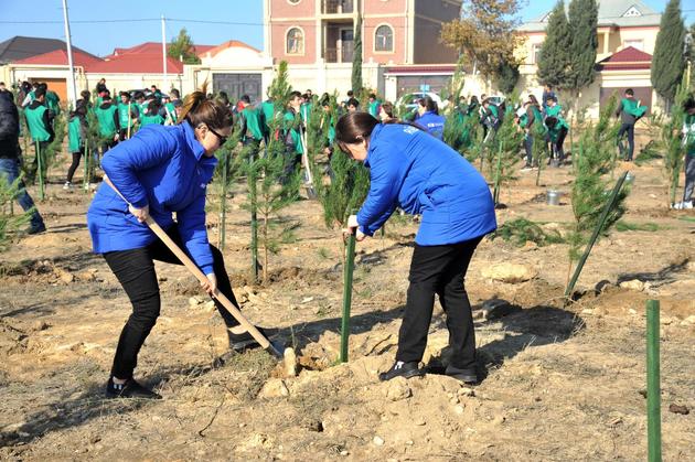 Общественное объединение "Региональное развитие" организовало посадку деревьев в Сураханском районе
