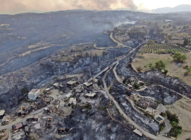 Эрдоган: регионы Турции, пострадавшие от лесных пожаров, объявлены зоной бедствия