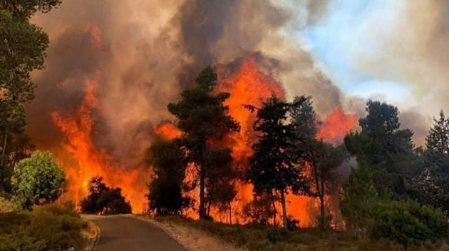 Россия увеличит помощь Греции в борьбе с пожарами