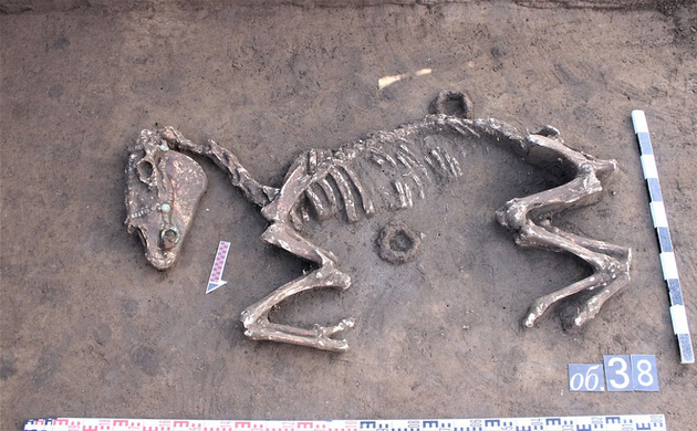 Дорожные строители нашли средневековый могильник на Кубани (ФОТО)