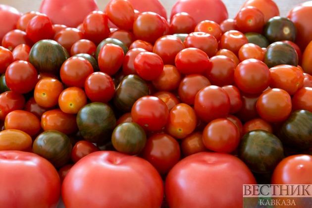 В Туапсе "завернули" партию зараженных турецких томатов