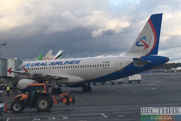 Птица "не пустила" самолет из Москвы в Таджикистан