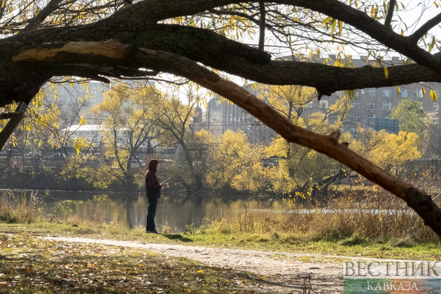 Золотая осень в Лефортовском парке (фоторепортаж)