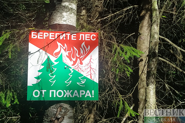 В Тушети снова горит лес