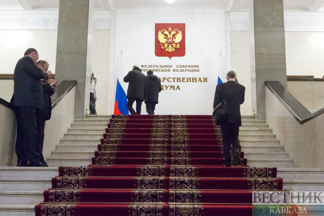 Российских парламентариев будут лишать мандата за несоответствие доходов и расходов?