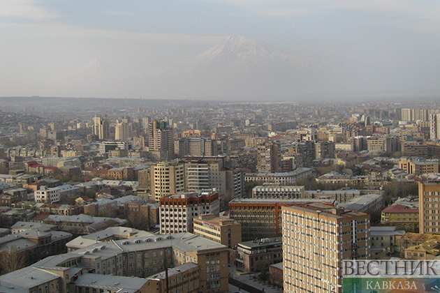 Гюрзы полюбили Центр креативных технологий в Ереване