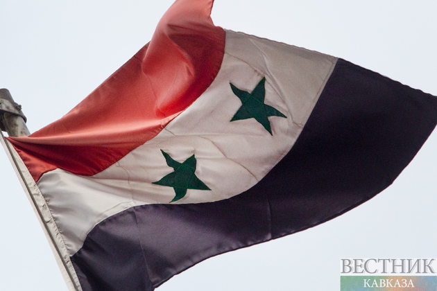 Сирию готовят к новой Конституции