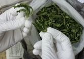 На Кубани задержали наркокурьера с 1,5 кг марихуаны