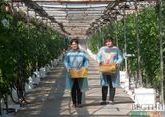 Ставропольских аграриев будут учить по программе работодателей