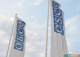 Россия не будет участвовать в спецзаседании ОБСЕ