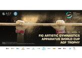 Кубок мира FIG по спортивной гимнастике стартует в Баку 31 марта