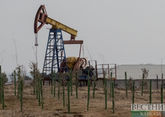 ОПЕК не сможет полностью компенсировать снижение поставок нефти из России