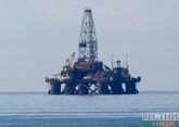 Турция и Алжир создадут СП по разведке нефти и газа