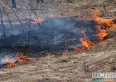  Лесной пожар удерживают у населенных пунктов в Казахстане