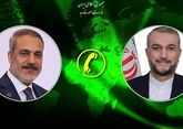 Иран и Турция призвали остановить операцию Израиля в секторе Газа