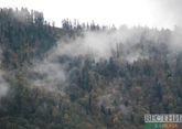 Лесной пожар продолжает пылать в Гумбетовском районе