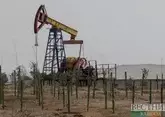 ОПЕК+ не пустит на рынок еще 200 млн баррелей нефти