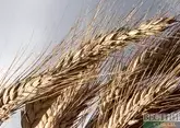 Азербайджан увеличил импорт российской пшеницы