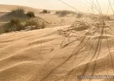 Песчаная буря из Сахары накроет завтра Кубань