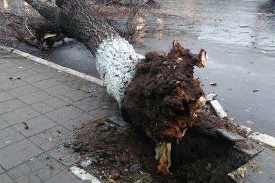Ростов убирает последствия вчерашней стихии