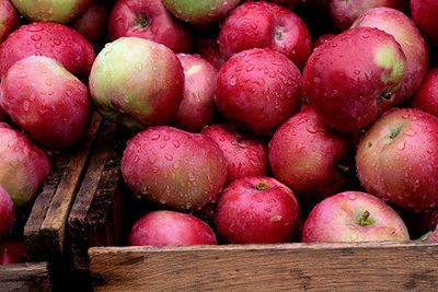 В России ввели запрет на ввоз турецких яблок через Белоруссию