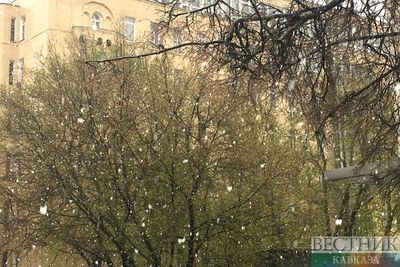 Ставрополье заметает снегом