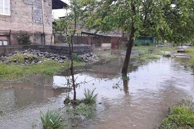 В Телавском районе оценили последствия наводнения 