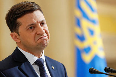 Экс-посол Грузии на Украине попросил Зеленского о гражданстве 