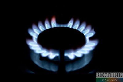 Власти Украины вводят госрегулирование цен на газ