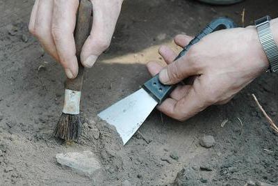 В крымской пещере &quot;Таврида&quot; нашли останки животных возрастом в 1,5 млн лет