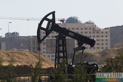 Стоимость нефти Brent выросла до $44,66 