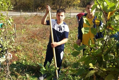 В Северной Осетии в октябре высадят более 280 тыс деревьев 