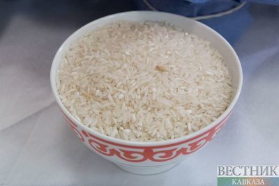 Урожай дагестанского риса побил рекорд 1986 года 