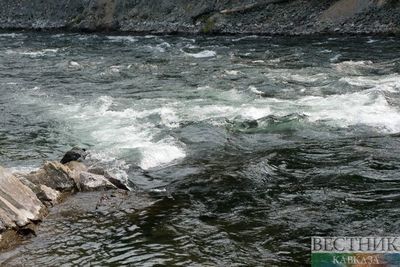 WWF занялся экологической катастрофой на реке Охчучай