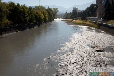 Вырубать леса запретят в Ингушетии ради рек