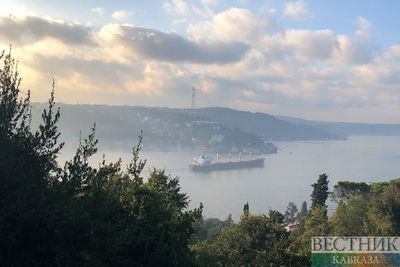 Туман приостановил навигацию в проливе Босфор - СМИ