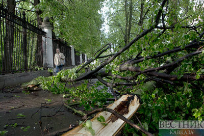 В Усть-Каменогорске подсчитывают ущерб от урагана