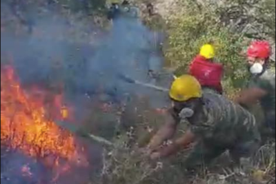 В Азербайджане справились еще с двумя лесными пожарами