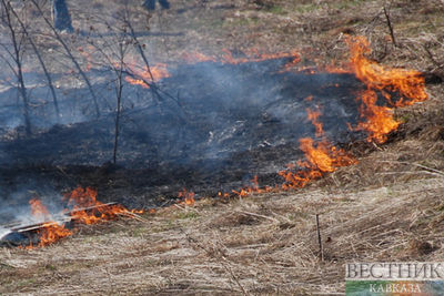 Природный пожар у населенного пункта тушат в Дагестане