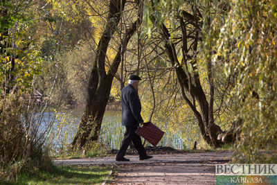 Жителей Центральной России ждет неделя золотой осени