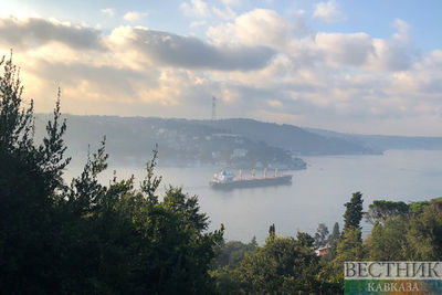 СМИ: сильный туман закрыл Босфорский пролив для судов 