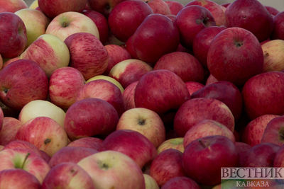 Нестандартные яблоки принесли фермерам в Грузии свыше $3 млн