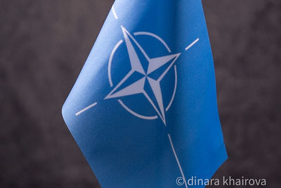 Шольц: действия НАТО не должны привести к конфронтации с РФ